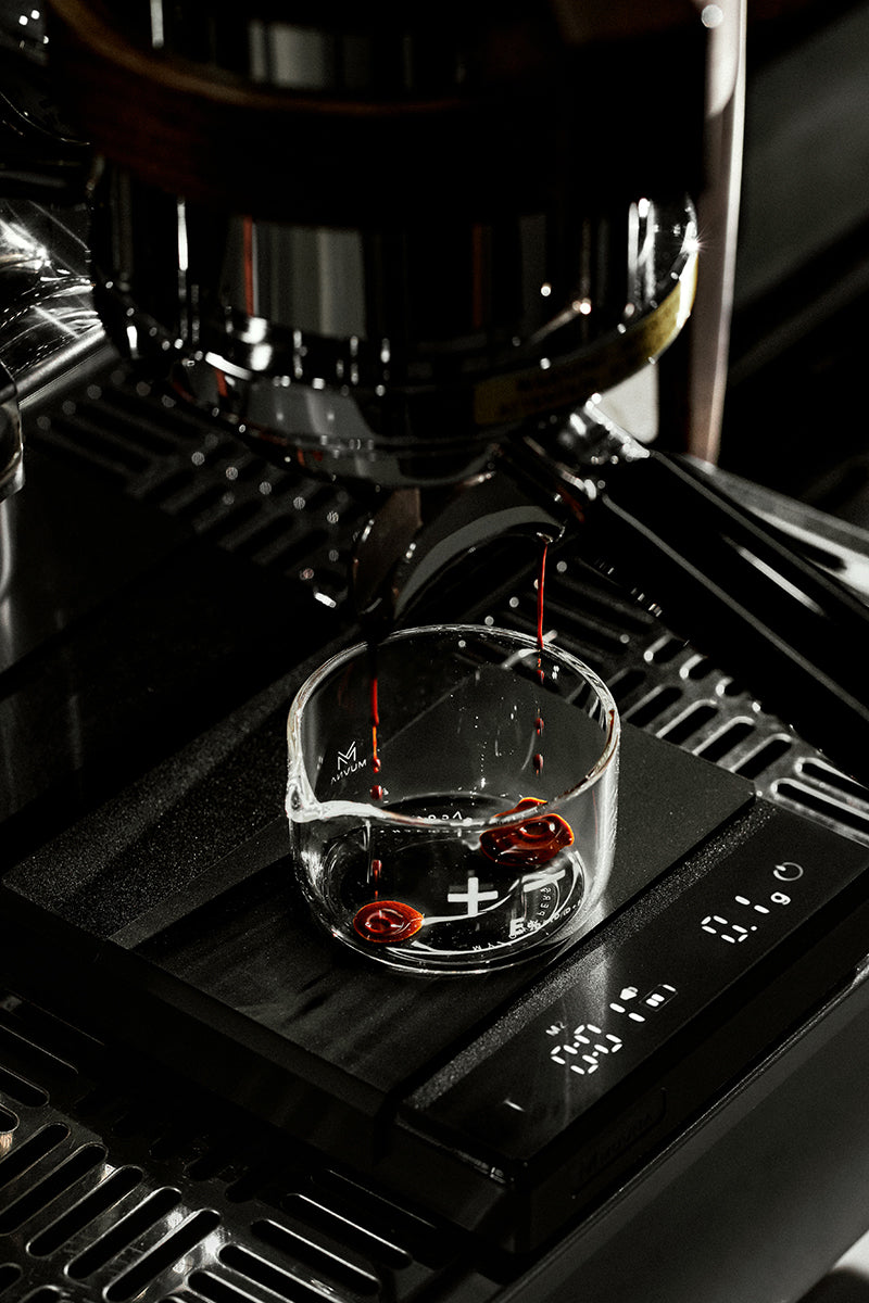 Muvna Glass Espresso Cup